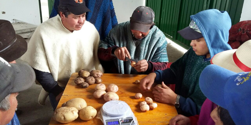 Campesinos Cundinamarqueses serán protagonistas en ruedas de negocios