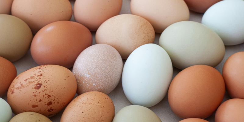 Ministerio de Agricultura comprará más de 4 millones de huevos a pequeños productores de Oriente de Cundinamarca