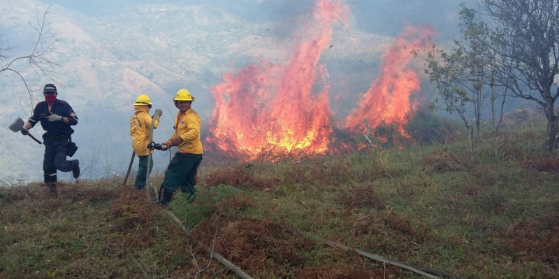 Con el inicio de la temporada seca, Cundinamarca activa la prevención, mitigación y respuesta frente a los incendios forestales