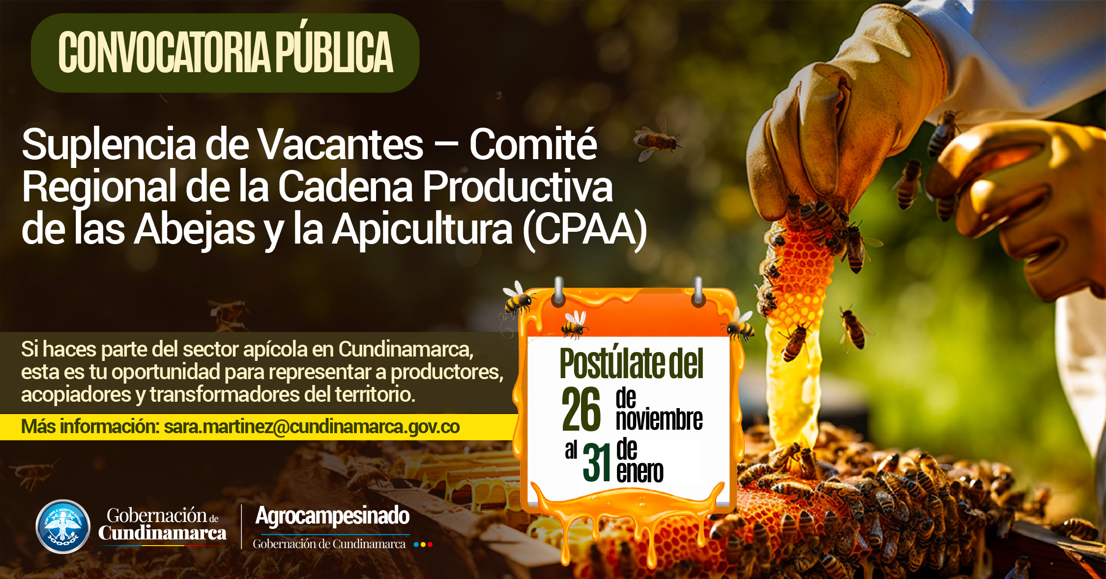 CONVOCATORIA - SUPLENCIA DE VACANTES COMITÉ REGIONAL CADENA PRODUCTIVA DE LAS ABEJAS Y LA APICULTURA