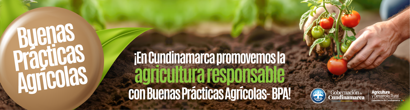 Buenas Prácticas Agrícolas (BPA)