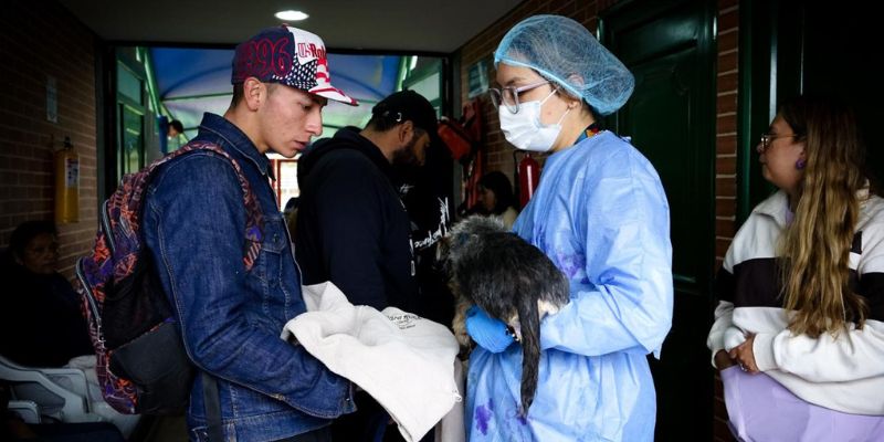 Cundinamarca supera 63.438 esterilizaciones desde 2020 en los 116 municipios