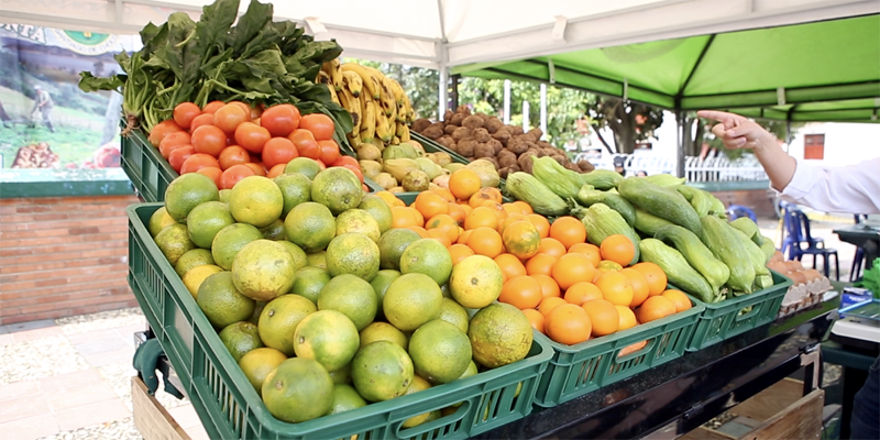 ‘Cambio verde’ entregó alimentos frescos por material reciclable en Chocontá


































