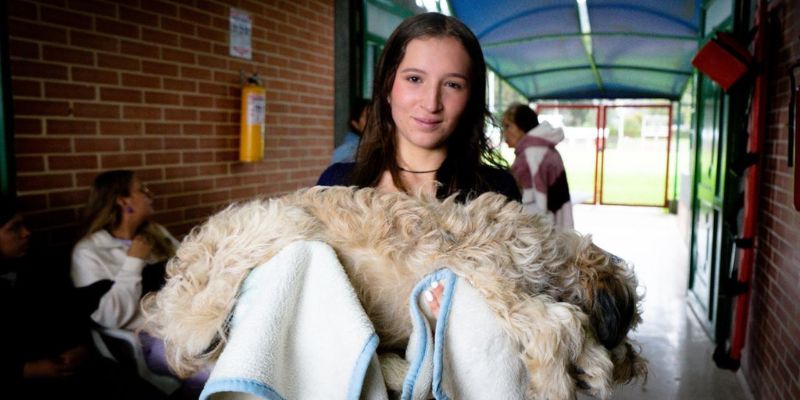 Cundinamarca supera 63.438 esterilizaciones desde 2020 en los 116 municipios