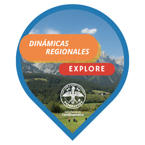 Enlace a las Dinámicas Regionales