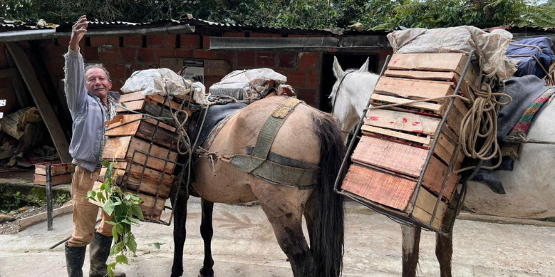 SISABE a Cundinamarca: una radiografía del campo y la alimentación del departamento
