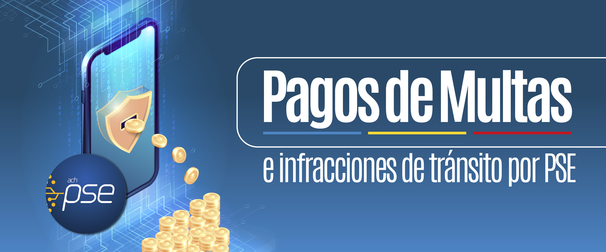 Imagen Pagos de Multas