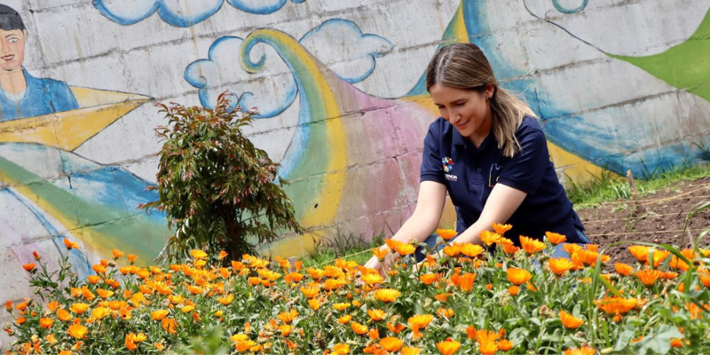 Beneficencia de Cundinamarca sembró más de 90 árboles en predio rural de Sibaté como parte de estrategia ambiental y productiva


