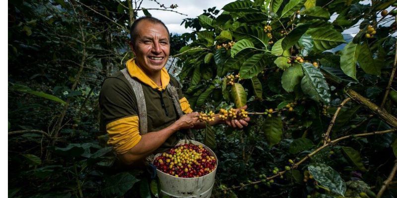 Exportaciones de Cundinamarca superaron los USD 2.833 millones en 2025 y consolidaron al departamento como el tercer mayor exportador del país