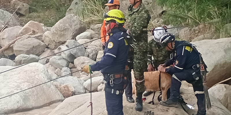 Silvania: continúan las acciones conjuntas de búsqueda, apoyo humanitario y recuperación
