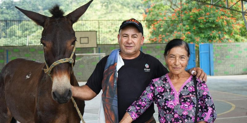 Ipybac atendió a 264 animales de compañía y équidos en brigadas veterinarias realizadas en Guataquí y Quipile