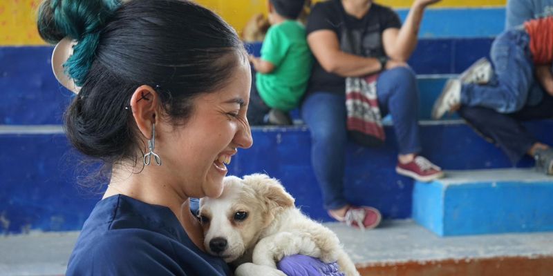 Ipybac atendió a 264 animales de compañía y équidos en brigadas veterinarias realizadas en Guataquí y Quipile