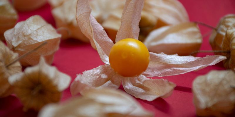 Exportaciones de Cundinamarca superaron los USD 2.833 millones en 2025 y consolidaron al departamento como el tercer mayor exportador del país