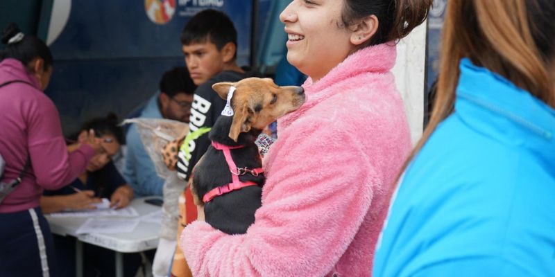 Cundinamarca supera 63.438 esterilizaciones desde 2020 en los 116 municipios