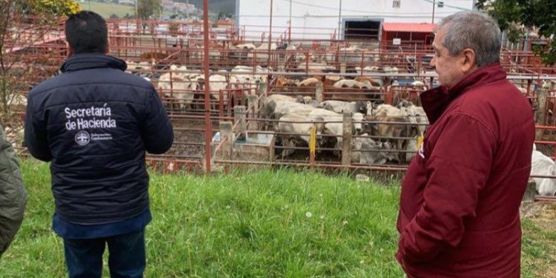 Gobernación refuerza control al impuesto del degüello para frenar la evasión tributaria en Cundinamarca