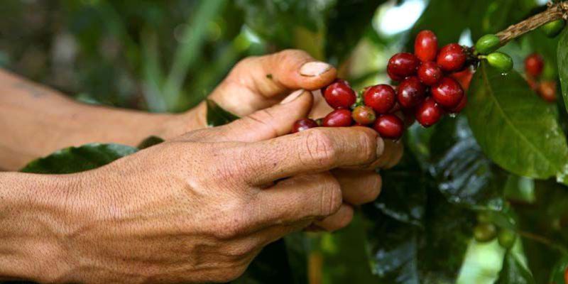 Exportaciones de Cundinamarca superaron los USD 2.833 millones en 2025 y consolidaron al departamento como el tercer mayor exportador del país